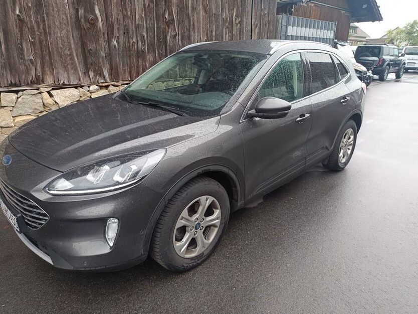 Kuga