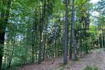 Grundstück Flossenbürg - 170.000&euro; | Angebot:26036735