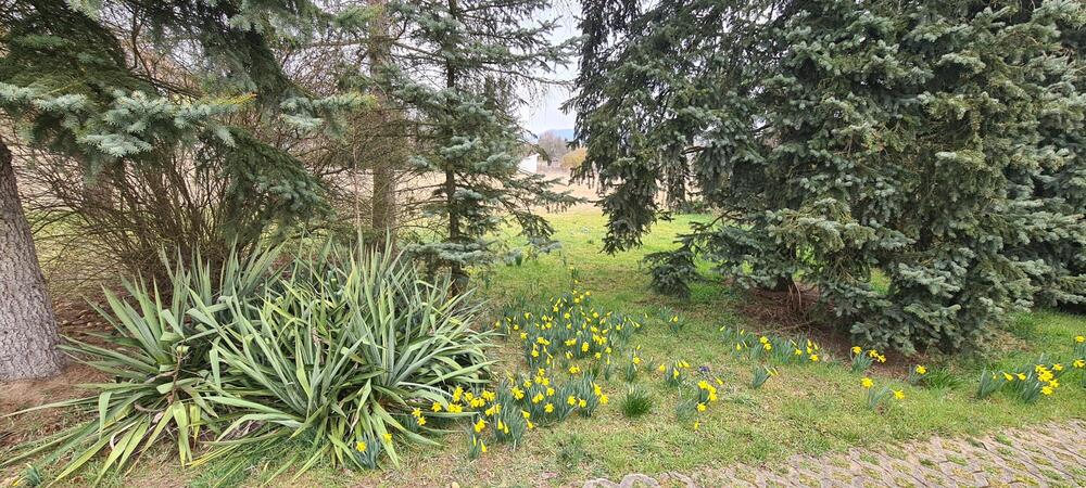 Einfamilienhaus in idyllischer Lage mit großem Grundstück - Einfamilienhaus Großeutersdorf | Angebot:26338317