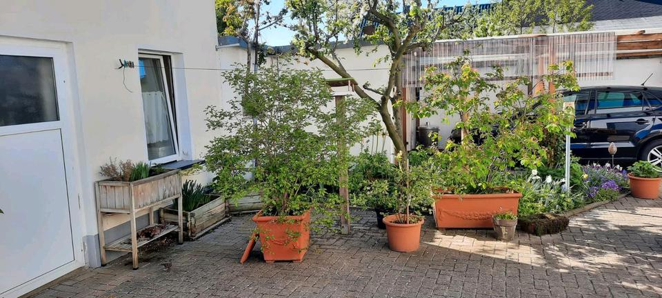 Einfamilienhaus Calbe (Saale) - 140.000&euro; | Angebot:26764208
