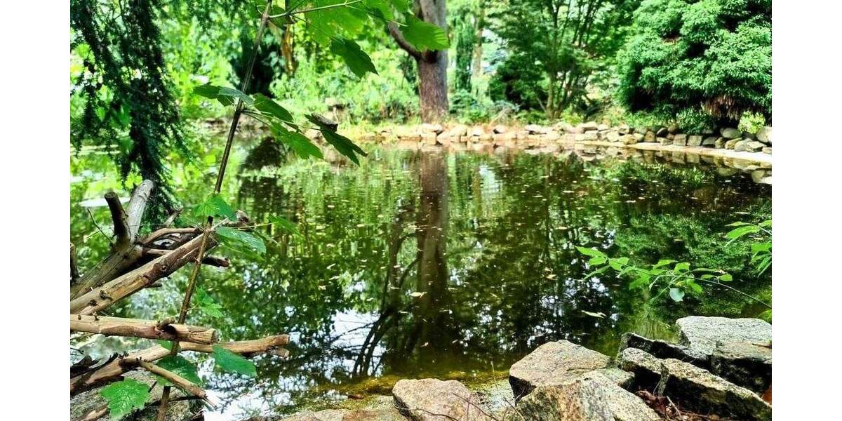 Einfamilienhaus Döbern - 4 Zimmer, 91 m&sup2;, 130.000&euro; | Angebot:23854944