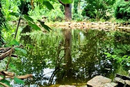 Haus Döbern - 4 Zimmer, 91 m&sup2;, 130.000&euro; | Angebot:23854944