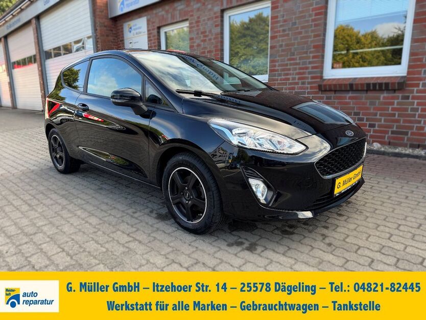 Ford Fiesta 77.450 km 8.980 € Dägeling 25578