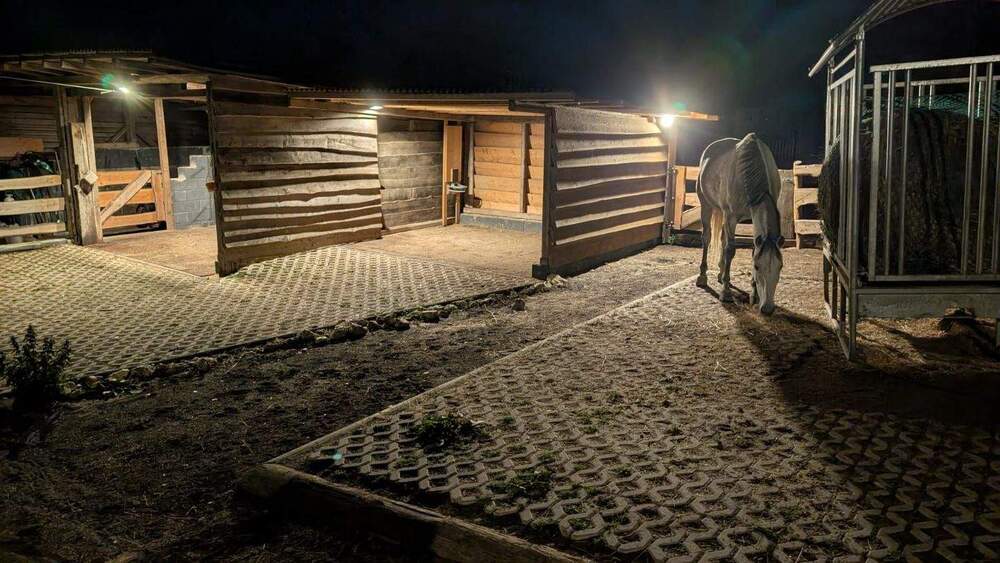 Bauernhaus, Landhaus Simmern/Hunsrück Hunsrück - 445.000&euro; | Angebot:25770278