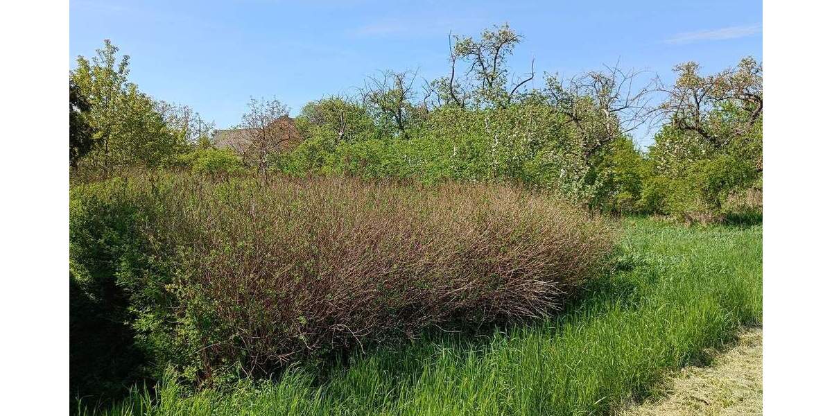 Grundstück Bismark OT Meßdorf Bismark - 5.500&euro; | Angebot:25958475