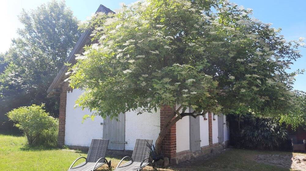 Doppelhaushälfte Lalendorf Rothspalk - 4 Zimmer, 81 m&sup2;, 109.000&euro; | Angebot:26851365
