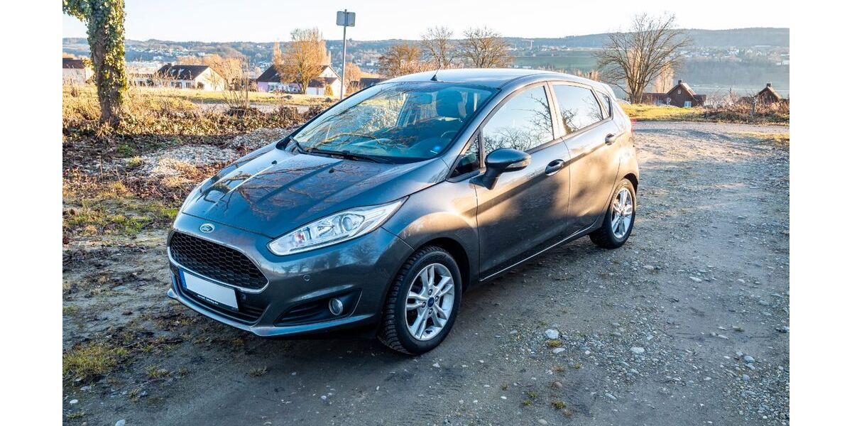 Ford Fiesta 100.500 km 6.000 &euro; Reichenau 78479