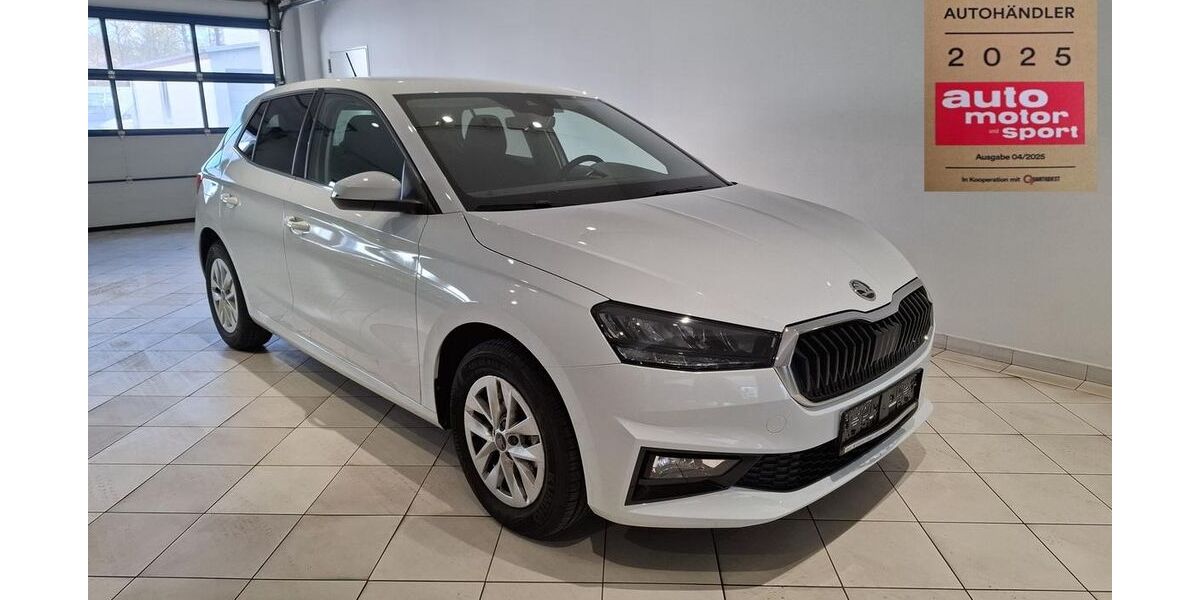 Skoda Fabia 5.926 km 18.698 &euro; Frohburg 04654