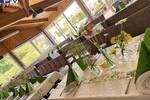 Mehrfamilienhaus, Wohnhaus Burgthann Mimberg - 1 Zimmer, 400 m&sup2;, 599.000&euro; | Angebot:26391215