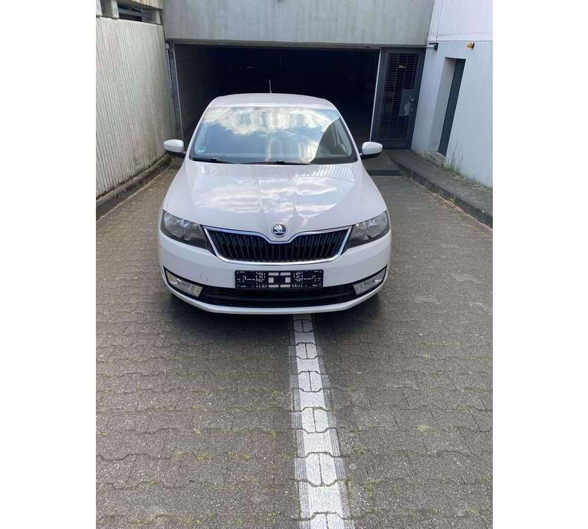 Rapid/Spaceback