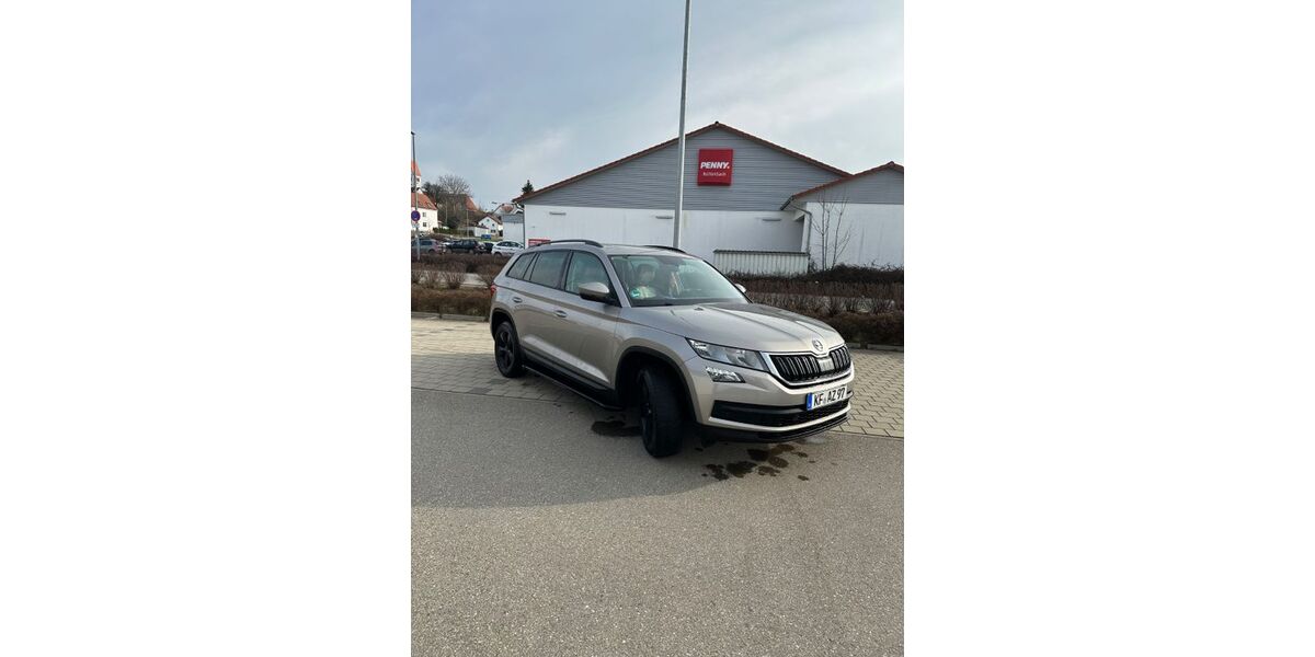 Skoda Kodiaq 167.000 km 19.000 &euro; Markt Rettenbach 87733