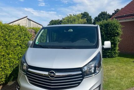 Opel Vivaro 80.000 km 21.800 &euro; Ilsenburg 38871