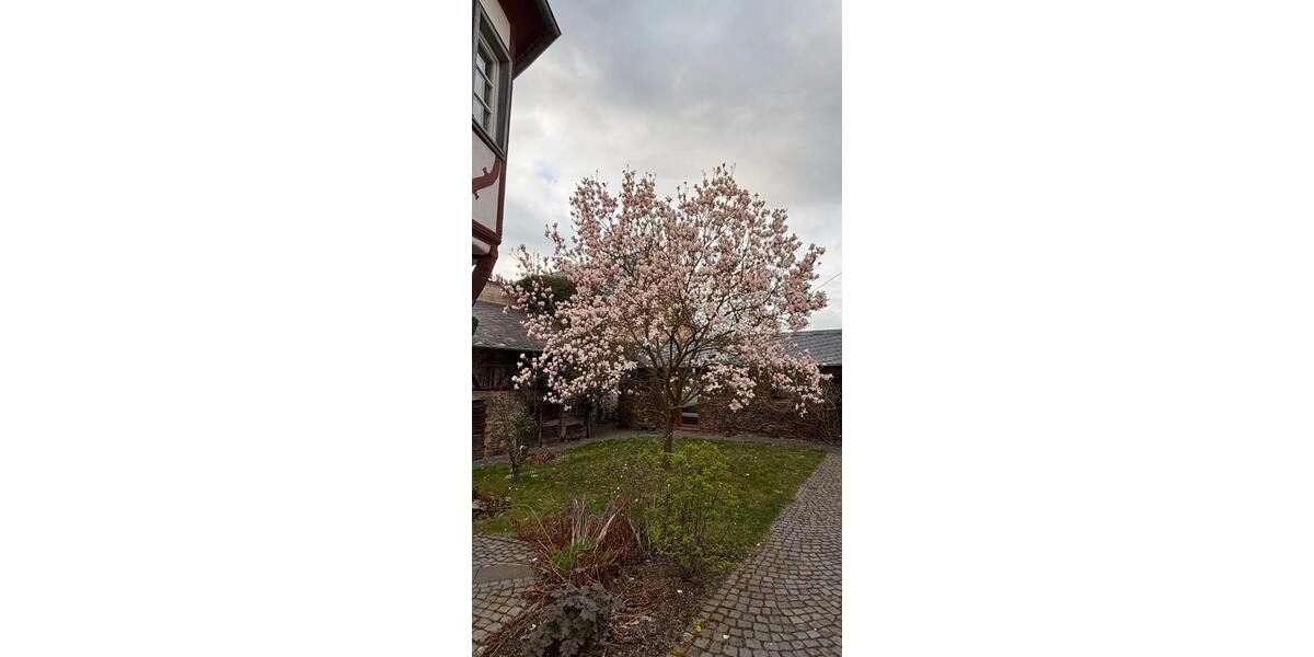 Gewerbeobjekt Kalt - 120&euro; | Angebot:26531632