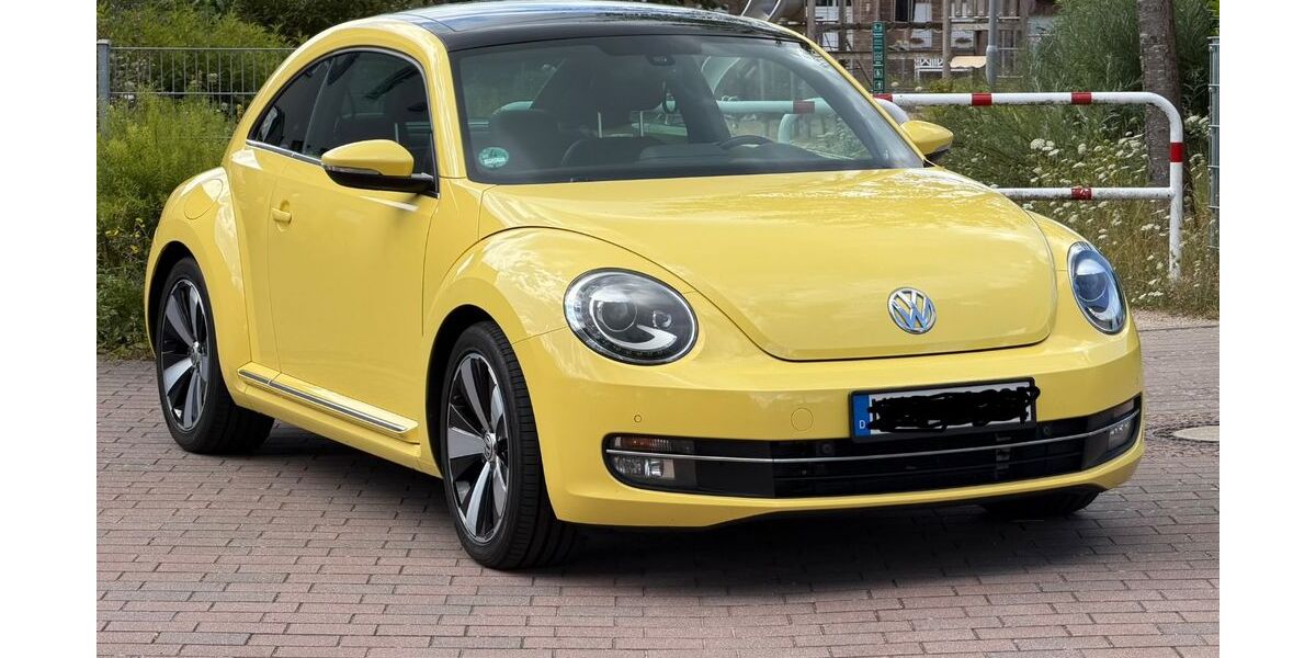 VW Beetle 168.000 km 11.111 &euro; Neumünster 24536