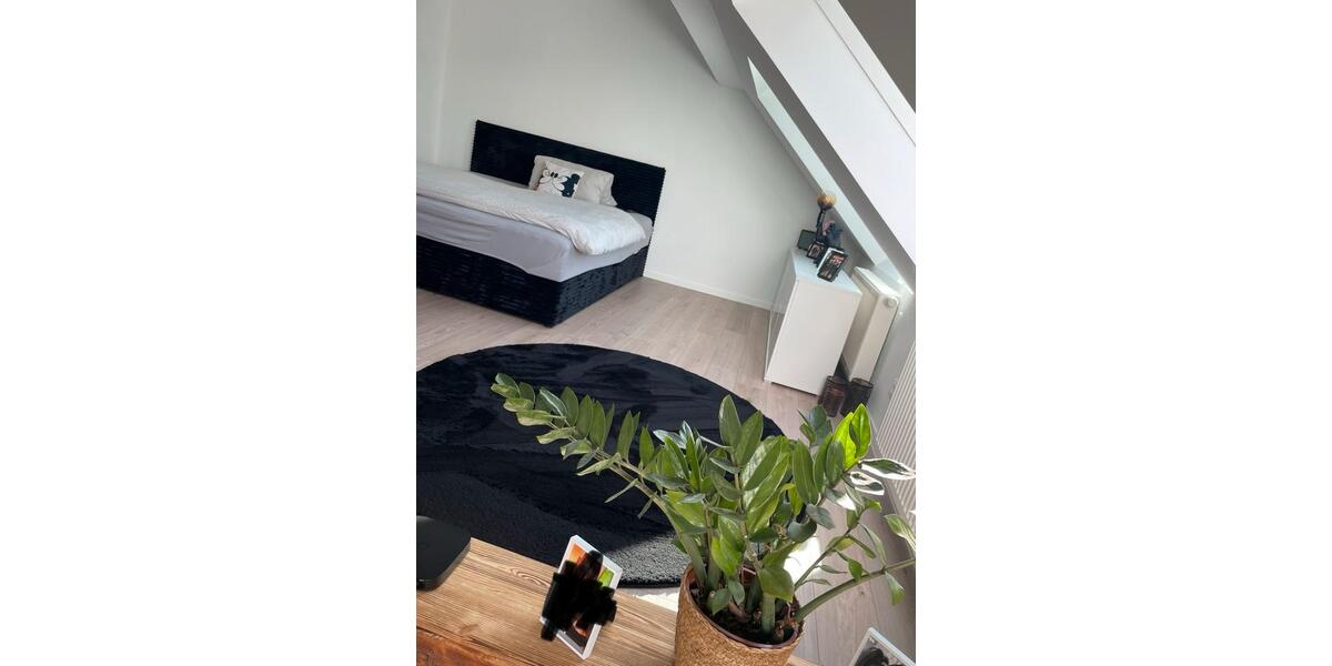 Dachgeschoßwohnung Trier Nord - 2 Zimmer, 55 m&sup2;, 650&euro; | Angebot:26326908