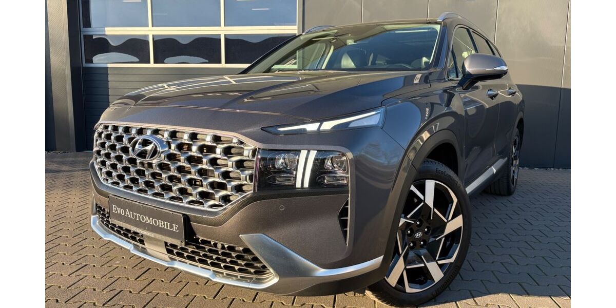 Hyundai SANTA FE 113.165 km 25.700 &euro; Ahlen 59229