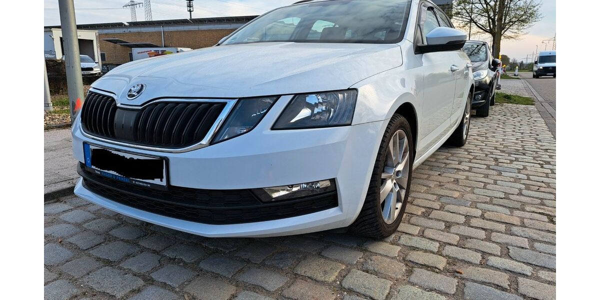 Skoda Octavia 45.600 km 19.999 &euro; Pfinztal 76327