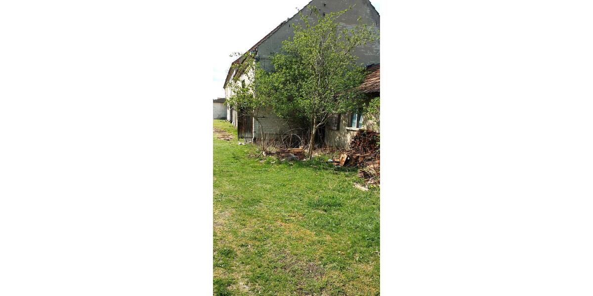 Bauernhaus, Landhaus Bad Liebenwerda - 10 Zimmer, 270 m&sup2;, 165.000&euro; | Angebot:26446704