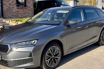 Skoda Octavia 11.250 km 33.200 &euro; Pogeez 23911