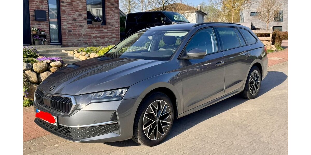 Skoda Octavia 11.250 km 33.200 &euro; Pogeez 23911