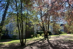 BESTE LAGE AM TELTOWKANAL! MAISONETTE MIT SÜD-BALKON! - Maisonettenwohnung Teltow Teltow | Angebot:24533058