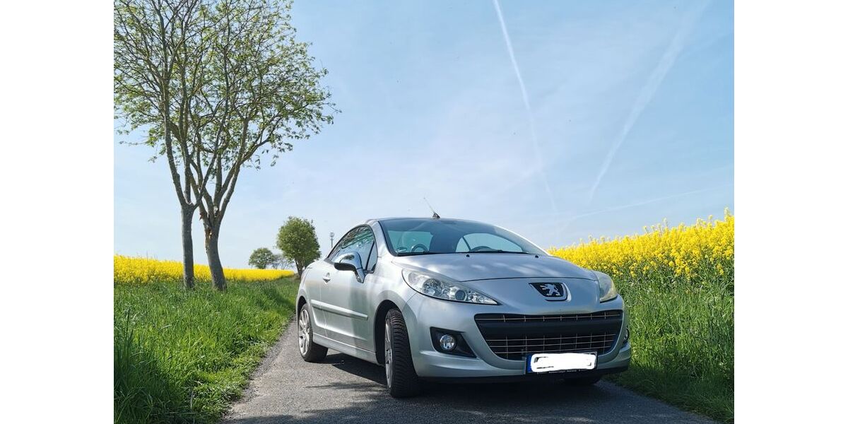 Peugeot 207 88.000 km 4.200 &euro; Syke 28857
