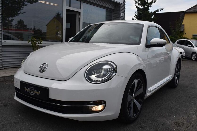 Beetle
