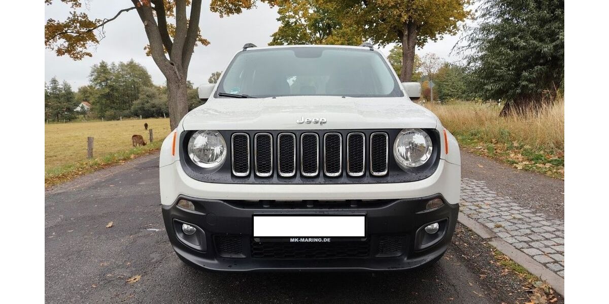 Jeep Renegade 57.200 km 14.900 &euro; Edemissen 31234