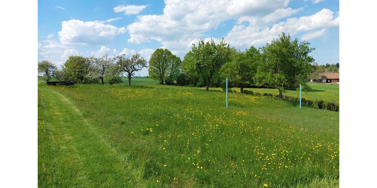 Bauernhaus, Landhaus Zwickau Zwickau-West - 119.000&euro; | Angebot:26791457