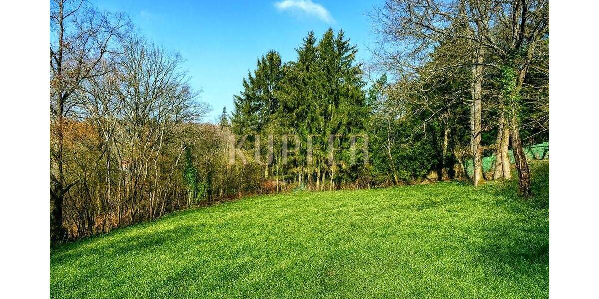 Grundstück Forchheim - 650.000&euro; | Angebot:24111246