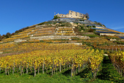 WG in Staufen