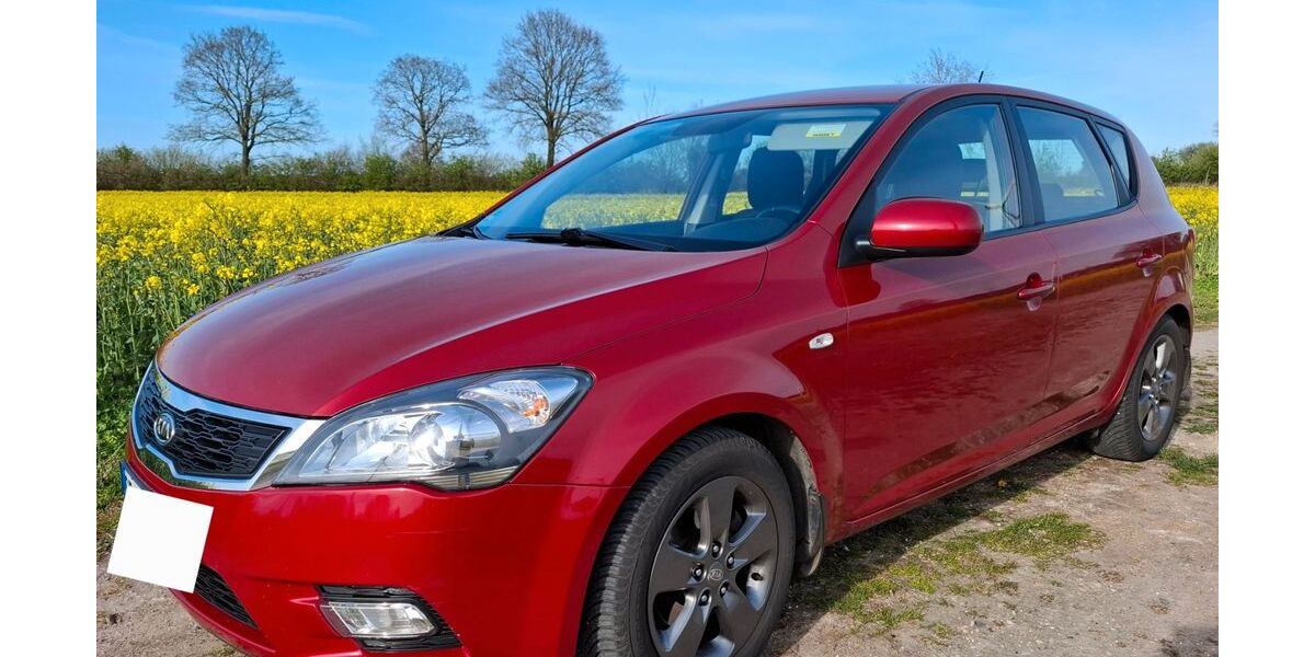 Kia ceed / Ceed 126.000 km 4.250 &euro; Bad Segeberg 23795