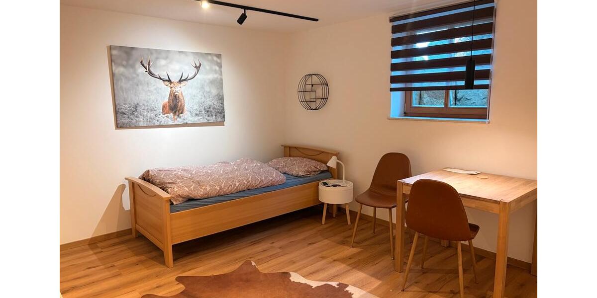 Etagenwohnung Cham - 1 Zimmer, 20 m&sup2;, 500&euro; | Angebot:26041361