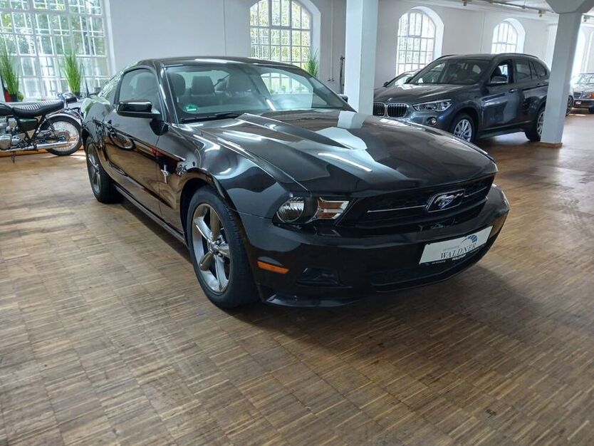 Mustang