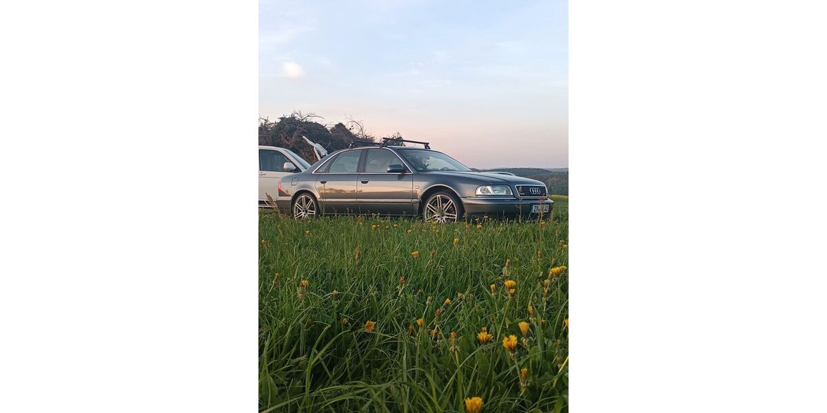 Audi A8 250.000 km 10.299 &euro; Witzschdorf 09437