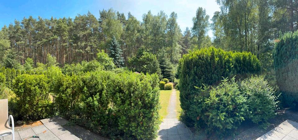 Einfamilienhaus Hitzacker (Elbe) - 7 Zimmer, 250 m&sup2;, 449.000&euro; | Angebot:26317350