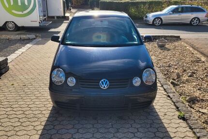 VW Polo 260.330 km 1.750 € Gangelt 52538
