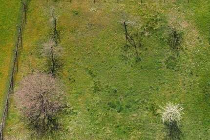 Grundstück Eberstadt Klingenhof - 243.900&euro; | Angebot:26047903