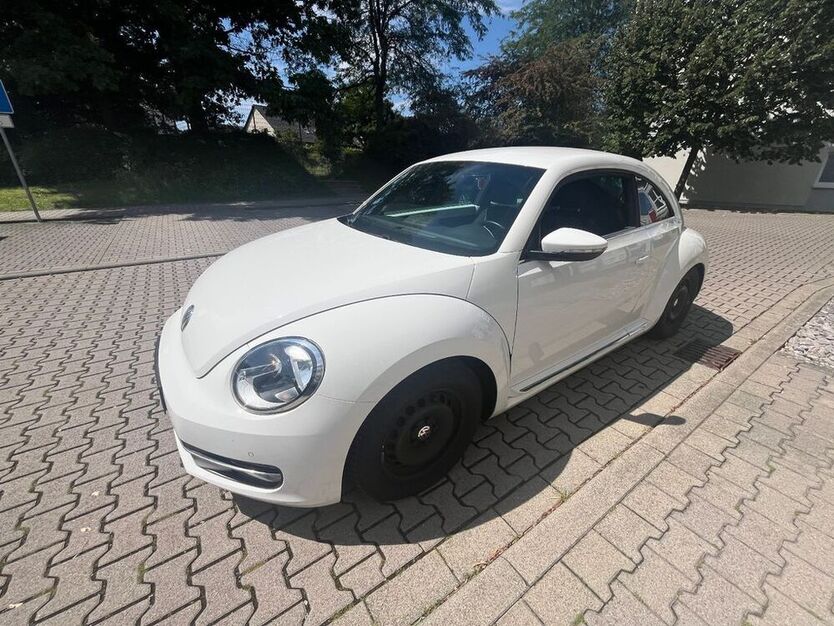 Beetle