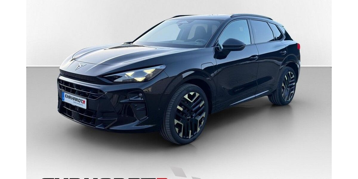 Cupra Terramar 4.000 km 49.990 &euro; Eisfeld 98673