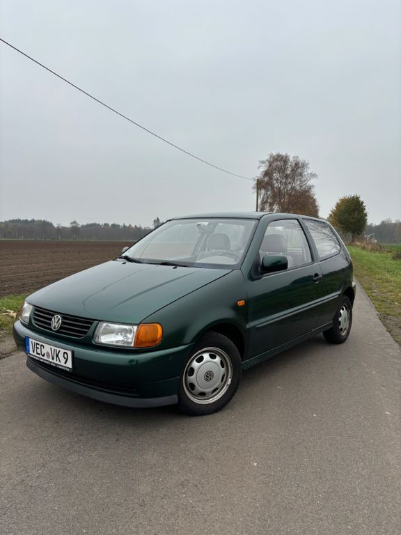 Polo