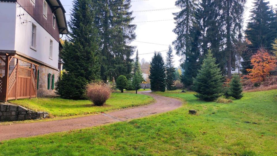 Villa Altenberg - 16 Zimmer, 300 m&sup2;, 440.000&euro; | Angebot:26926222