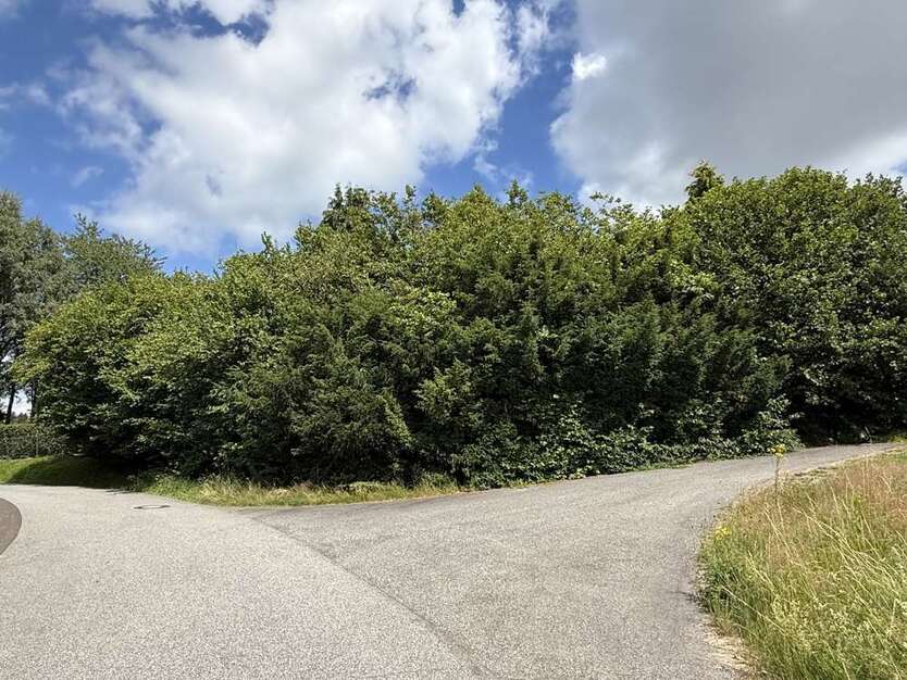 Grundstück zu verkaufen in Bölsberg 43.000 € 688 m²