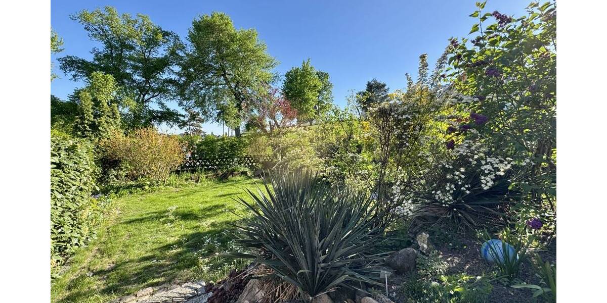 Reihenendhaus Lorsch - 5 Zimmer, 160 m&sup2;, 1.840&euro; | Angebot:26452346