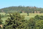 Etagenwohnung Zell im Fichtelgebirge - 2 Zimmer, 57 m&sup2;, 65.000&euro; | Angebot:27183145