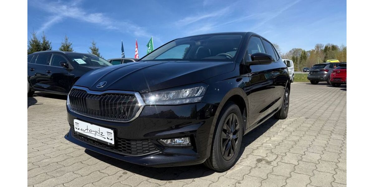 Skoda Fabia 4.438 km 20.790 &euro; Thermalbad Wiesenbad OT Schönfeld 09488