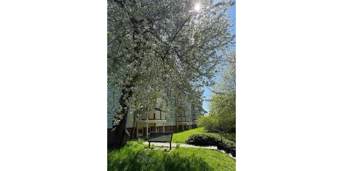 Etagenwohnung Wilkau-Haßlau Haßlau - 2 Zimmer, 52 m&sup2;, 338&euro; | Angebot:26296737