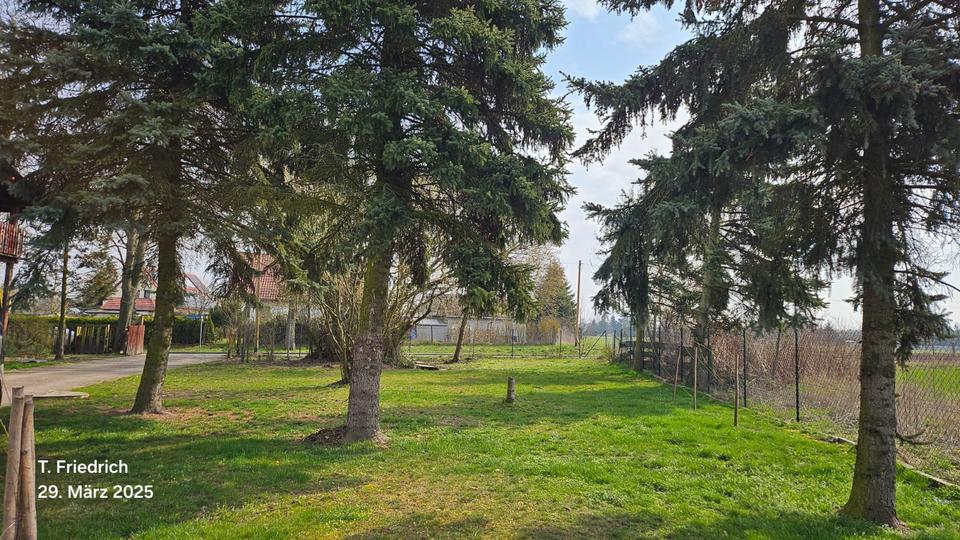 Doppelhaushälfte Lebus - 6 Zimmer, 210 m&sup2;, 159.000&euro; | Angebot:27086797