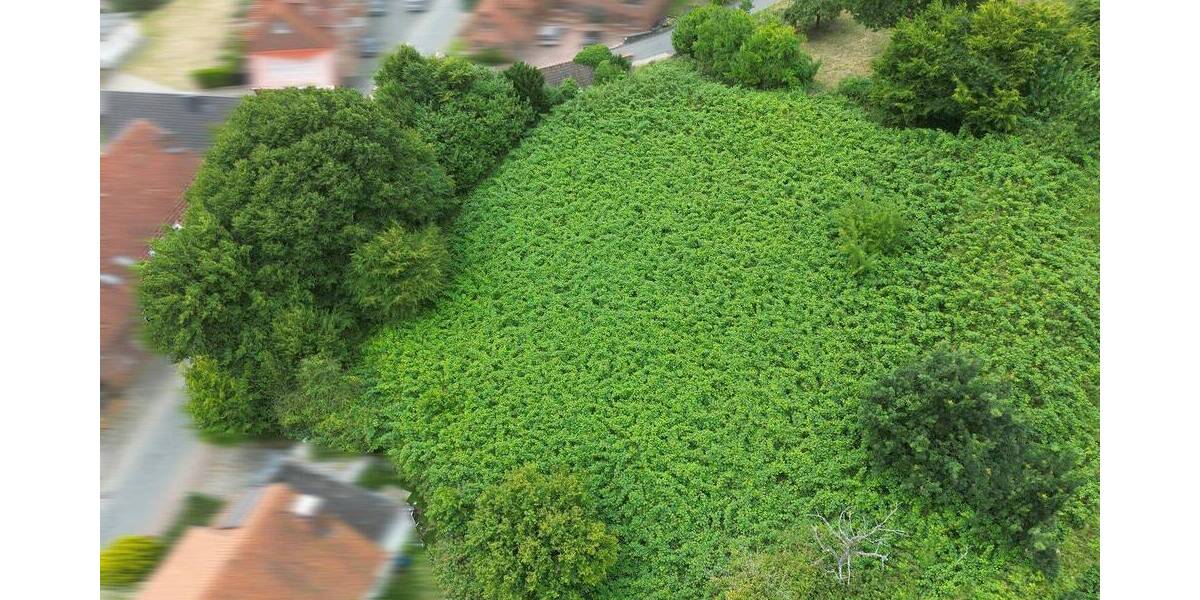 Grundstück Rinteln Schaumburg - 136.000&euro; | Angebot:25685693