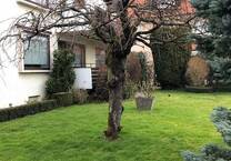 Gepflegte 3,5 Zimmer-Wohnung in Friedrichshafen an nettes Ehepaar zu vermieten!